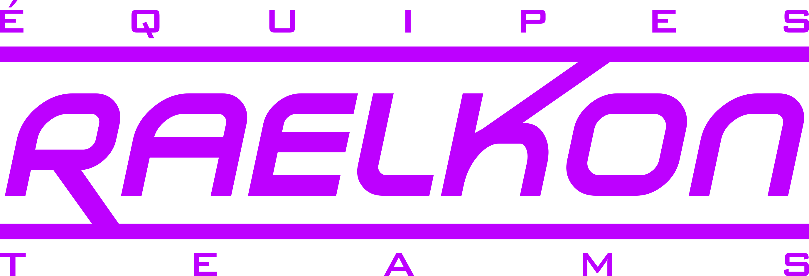 RAELKON Teams Inc.